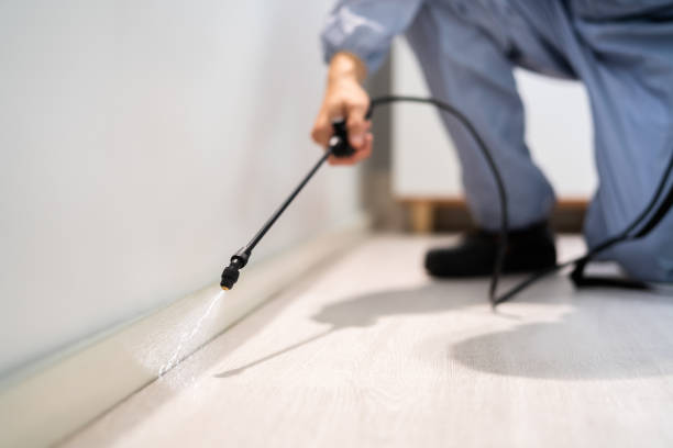 Bed Bug Pre-Treatment Preparation Assessment in South Willard