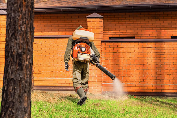 Bed Bug Clearance Verification and Documentation in South Willard